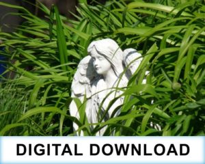 Digital-Download-Ireland-Talk